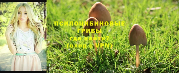 гашиш Алексин